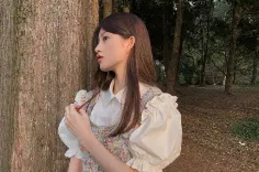 野狐馋师